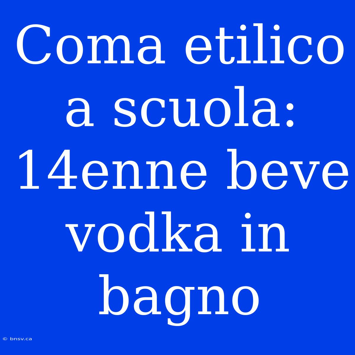 Coma Etilico A Scuola: 14enne Beve Vodka In Bagno