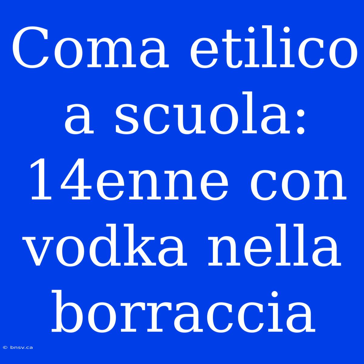 Coma Etilico A Scuola: 14enne Con Vodka Nella Borraccia