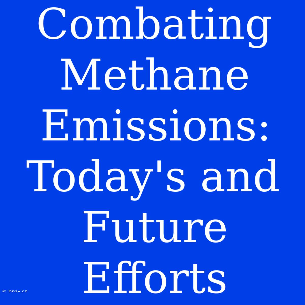 Combating Methane Emissions: Today's And Future Efforts