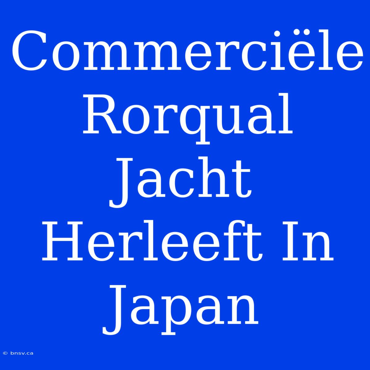 Commerciële Rorqual Jacht Herleeft In Japan