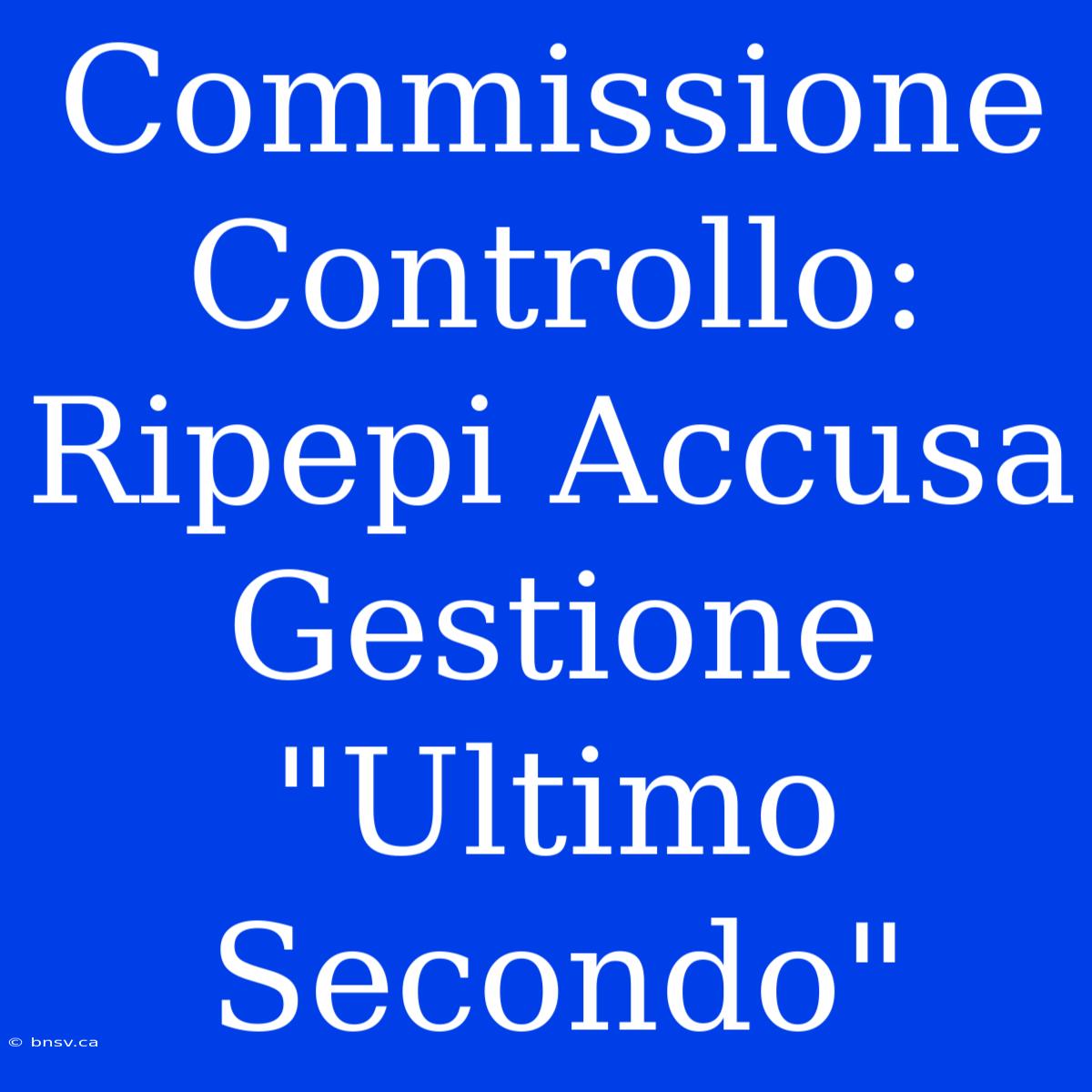 Commissione Controllo: Ripepi Accusa Gestione 