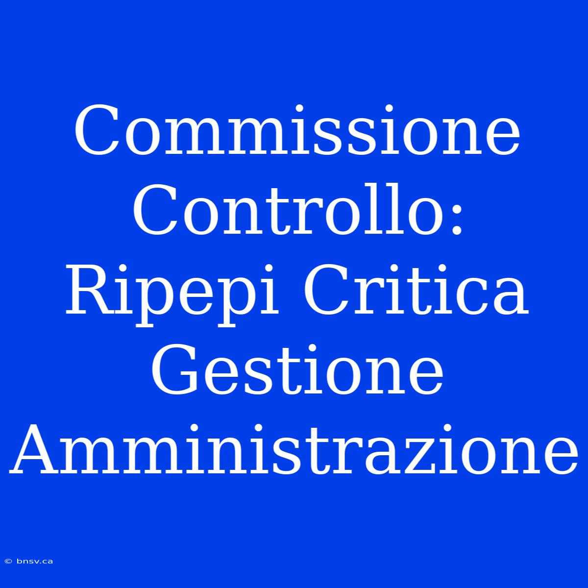 Commissione Controllo: Ripepi Critica Gestione Amministrazione