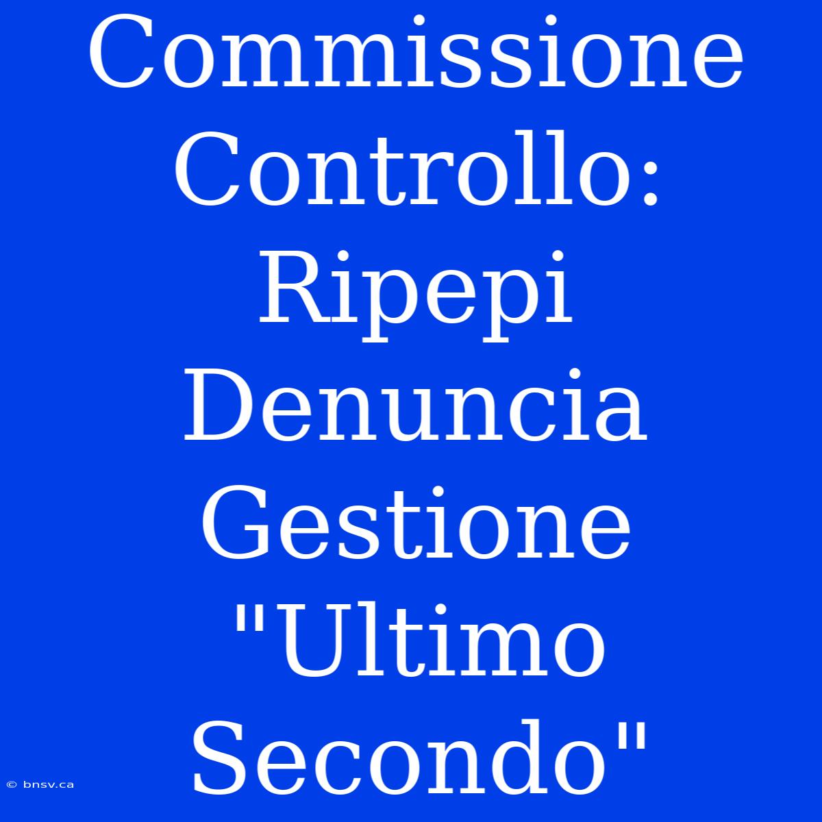 Commissione Controllo: Ripepi Denuncia Gestione 