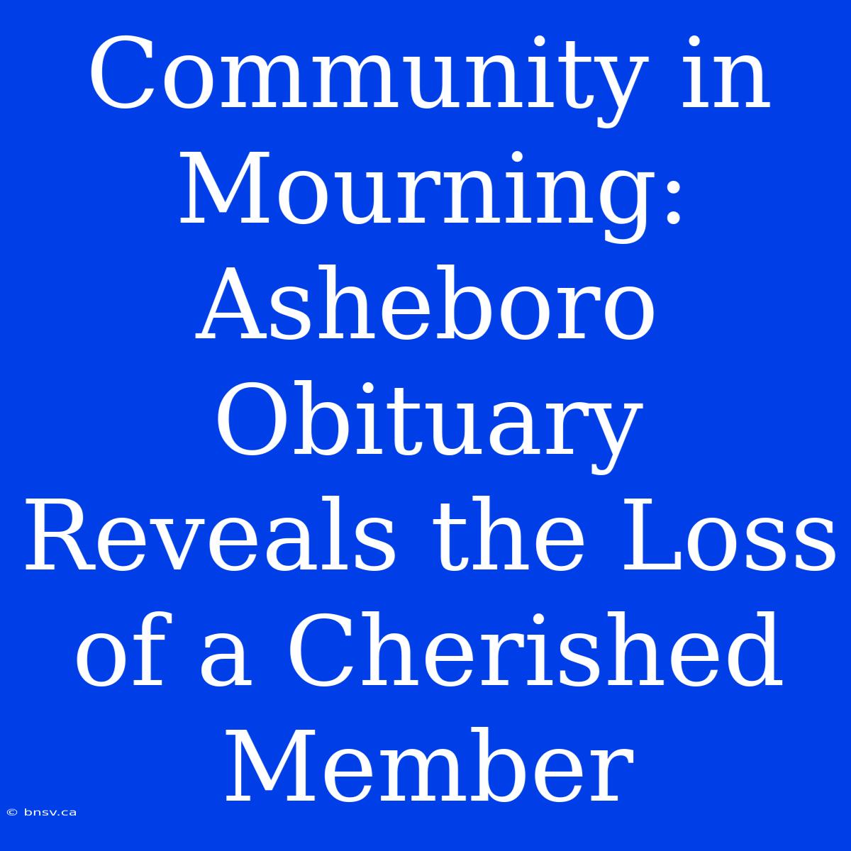 Community In Mourning: Asheboro Obituary Reveals The Loss Of A Cherished Member