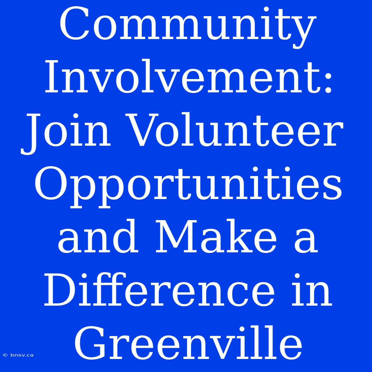 Community Involvement: Join Volunteer Opportunities And Make A Difference In Greenville