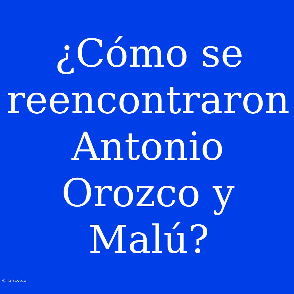 ¿Cómo Se Reencontraron Antonio Orozco Y Malú?