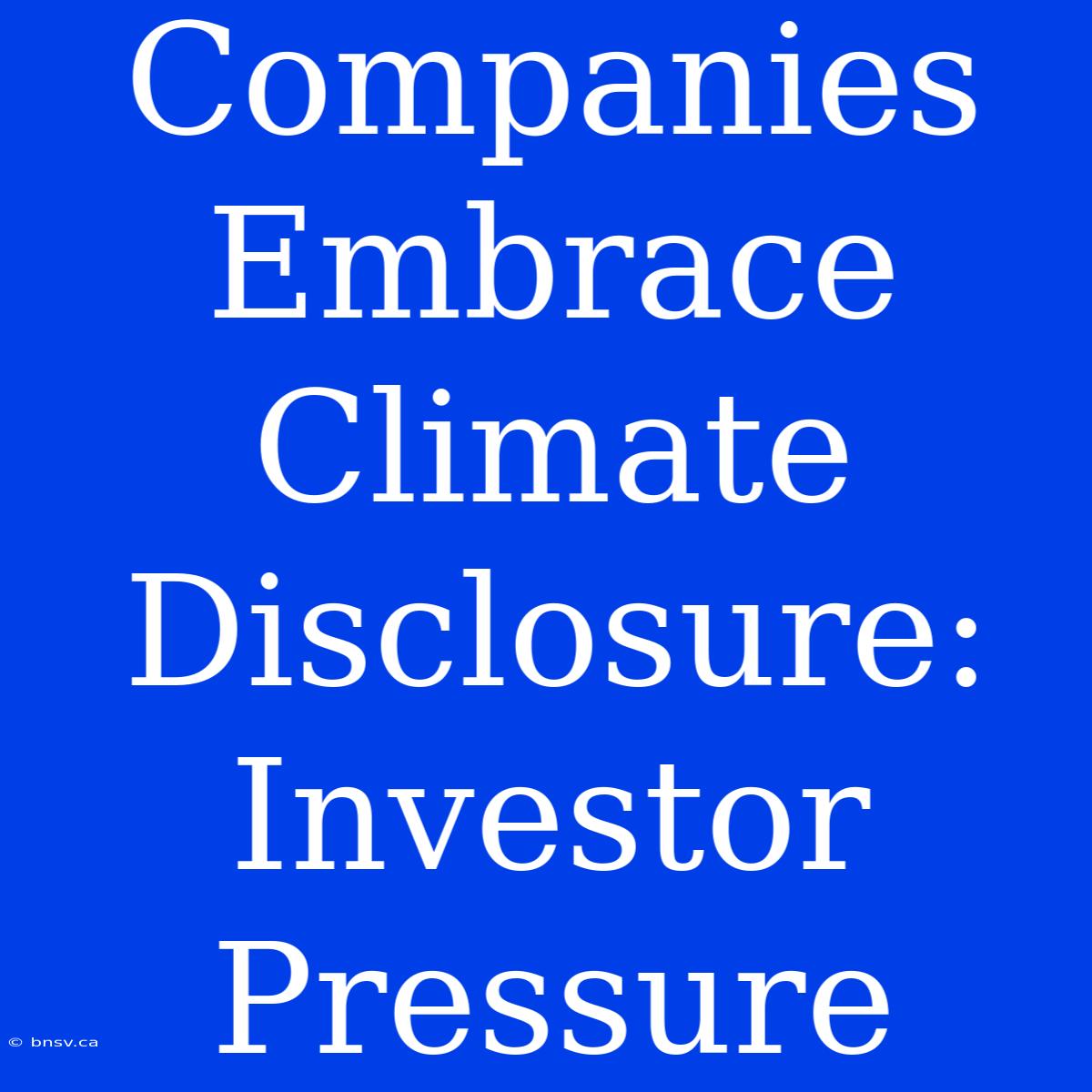 Companies Embrace Climate Disclosure: Investor Pressure