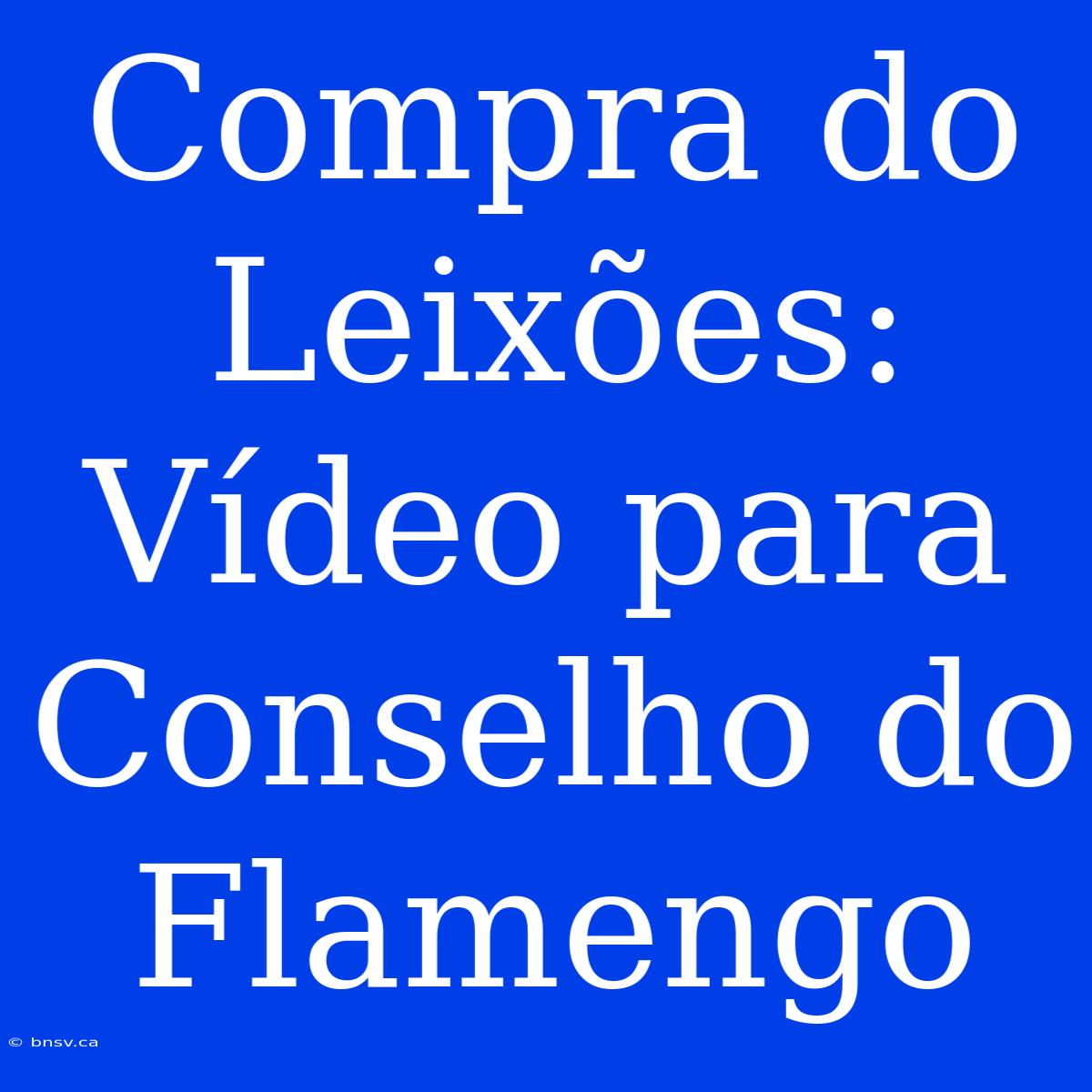 Compra Do Leixões: Vídeo Para Conselho Do Flamengo