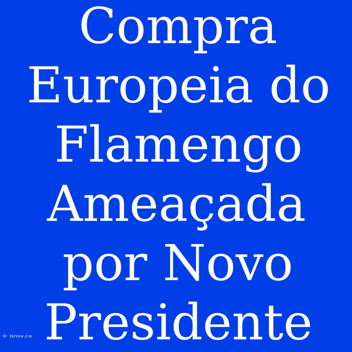 Compra Europeia Do Flamengo Ameaçada Por Novo Presidente