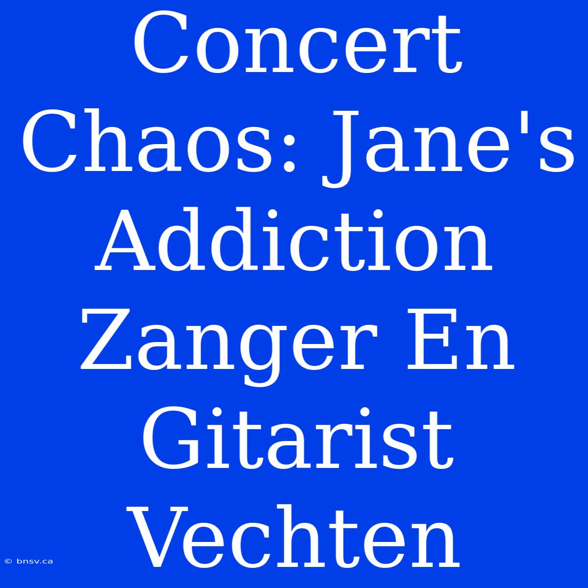 Concert Chaos: Jane's Addiction Zanger En Gitarist Vechten