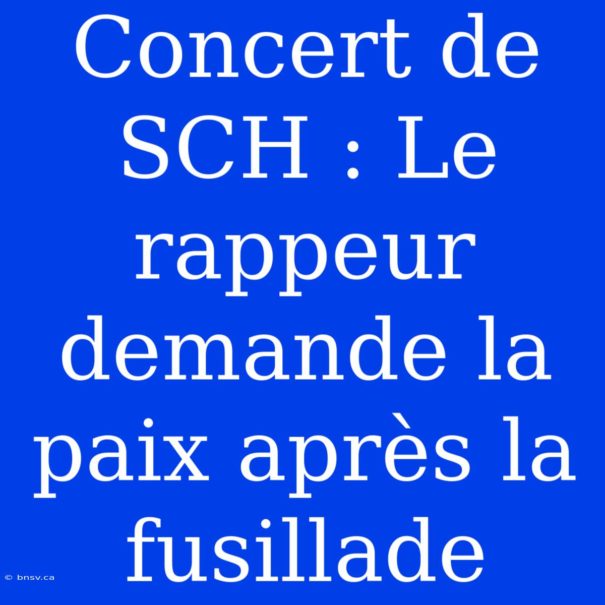 Concert De SCH : Le Rappeur Demande La Paix Après La Fusillade