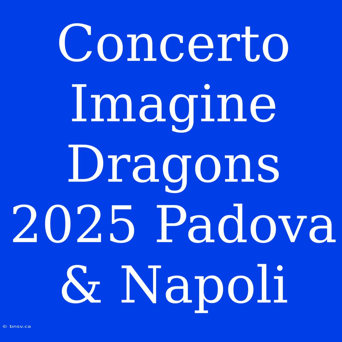 Concerto Imagine Dragons 2025 Padova & Napoli