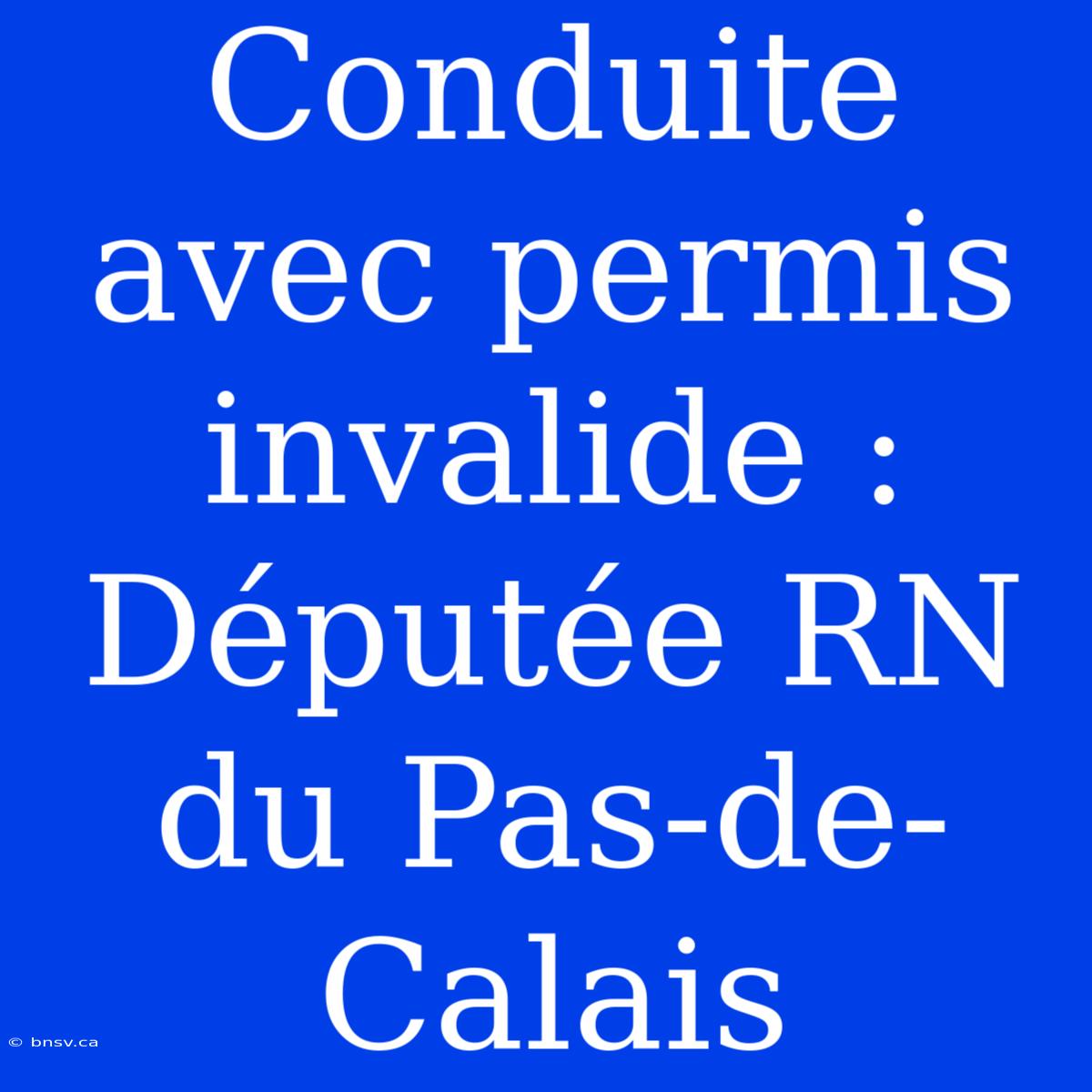 Conduite Avec Permis Invalide : Députée RN Du Pas-de-Calais