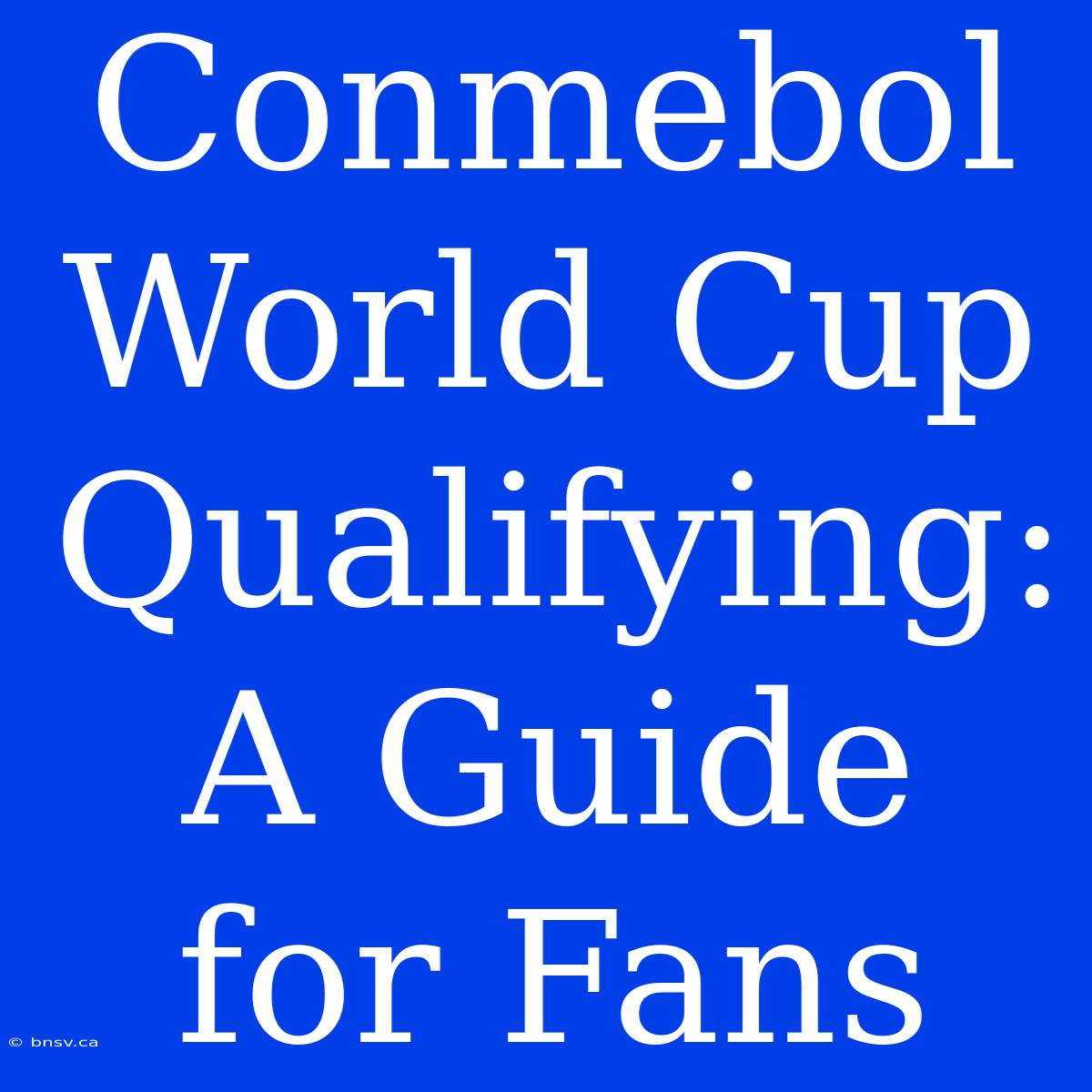 Conmebol World Cup Qualifying: A Guide For Fans