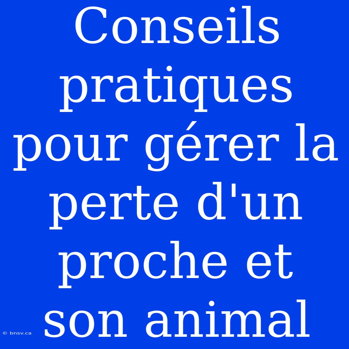 Conseils Pratiques Pour Gérer La Perte D'un Proche Et Son Animal