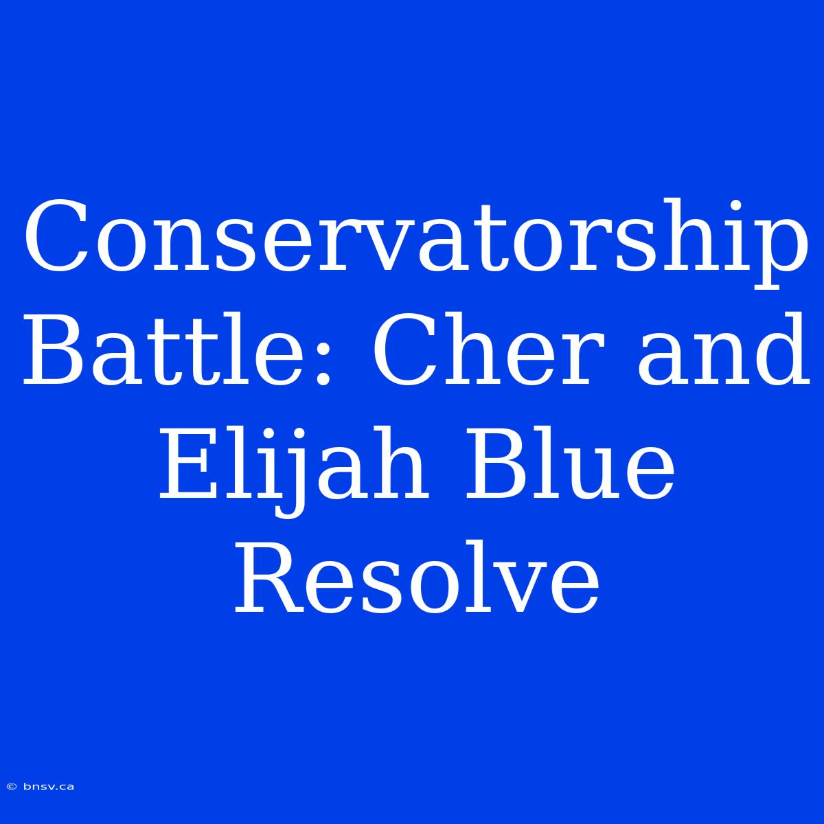 Conservatorship Battle: Cher And Elijah Blue Resolve