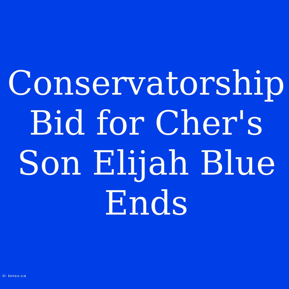 Conservatorship Bid For Cher's Son Elijah Blue Ends