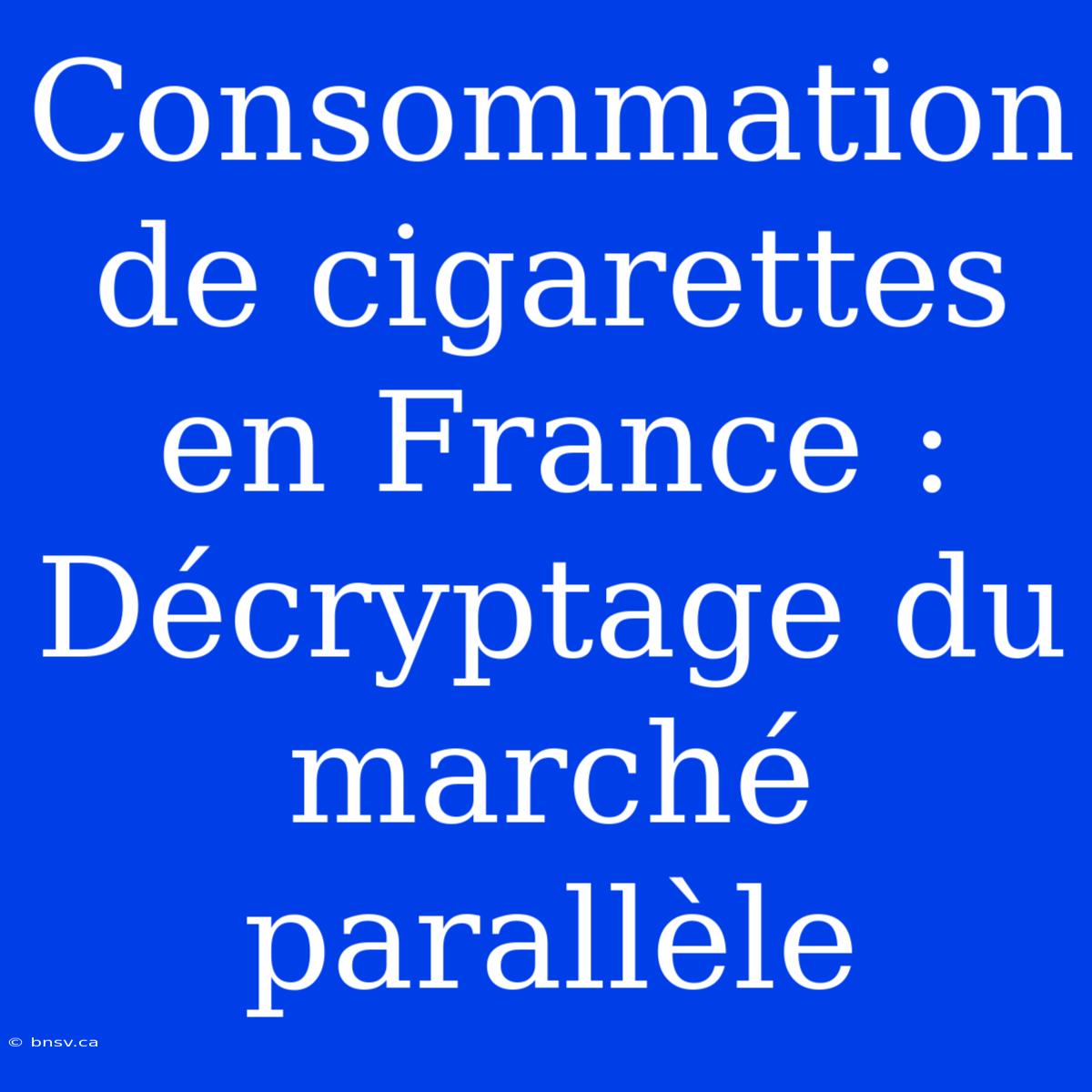 Consommation De Cigarettes En France : Décryptage Du Marché Parallèle