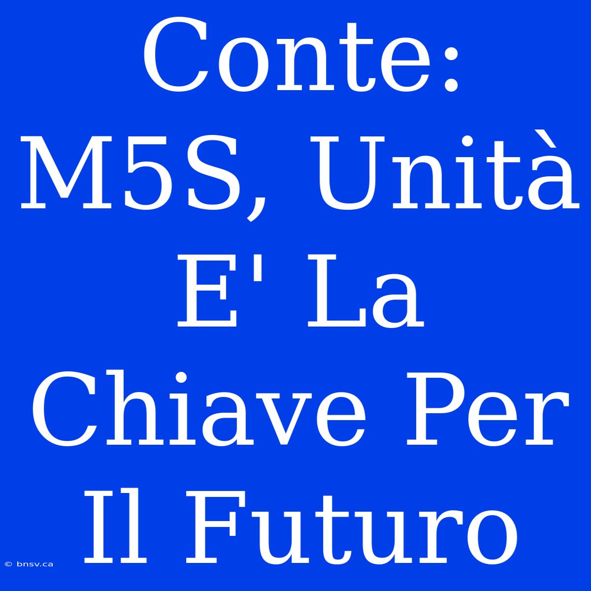 Conte: M5S, Unità E' La Chiave Per Il Futuro