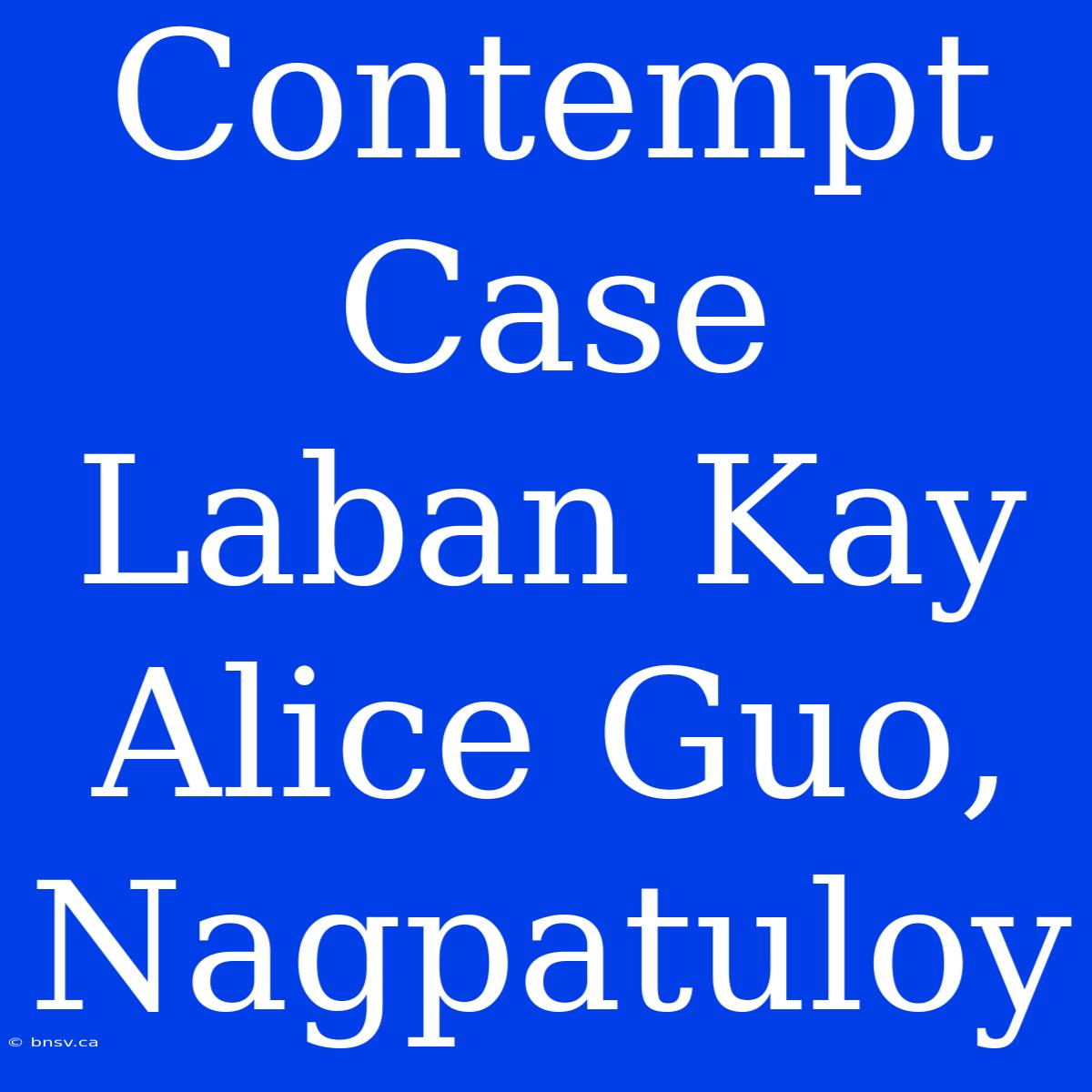 Contempt Case Laban Kay Alice Guo, Nagpatuloy