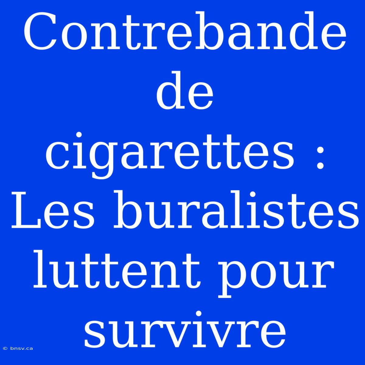 Contrebande De Cigarettes : Les Buralistes Luttent Pour Survivre