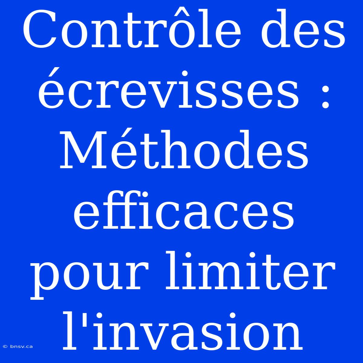 Contrôle Des Écrevisses : Méthodes Efficaces Pour Limiter L'invasion