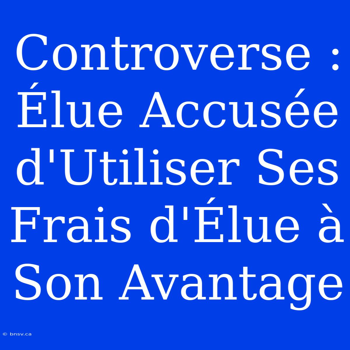 Controverse : Élue Accusée D'Utiliser Ses Frais D'Élue À Son Avantage