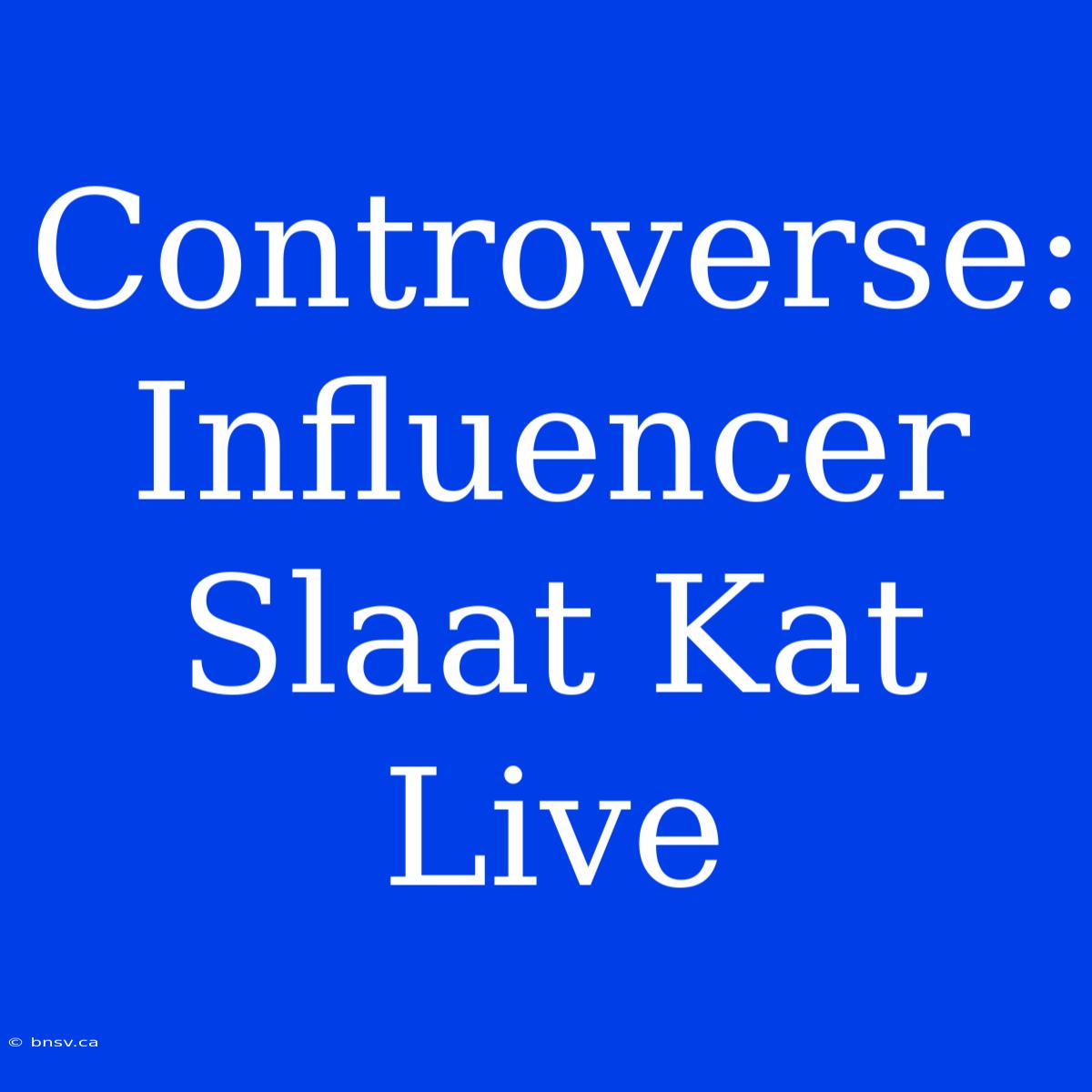 Controverse: Influencer Slaat Kat Live