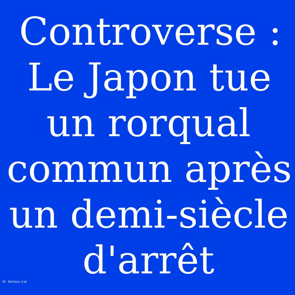 Controverse : Le Japon Tue Un Rorqual Commun Après Un Demi-siècle D'arrêt