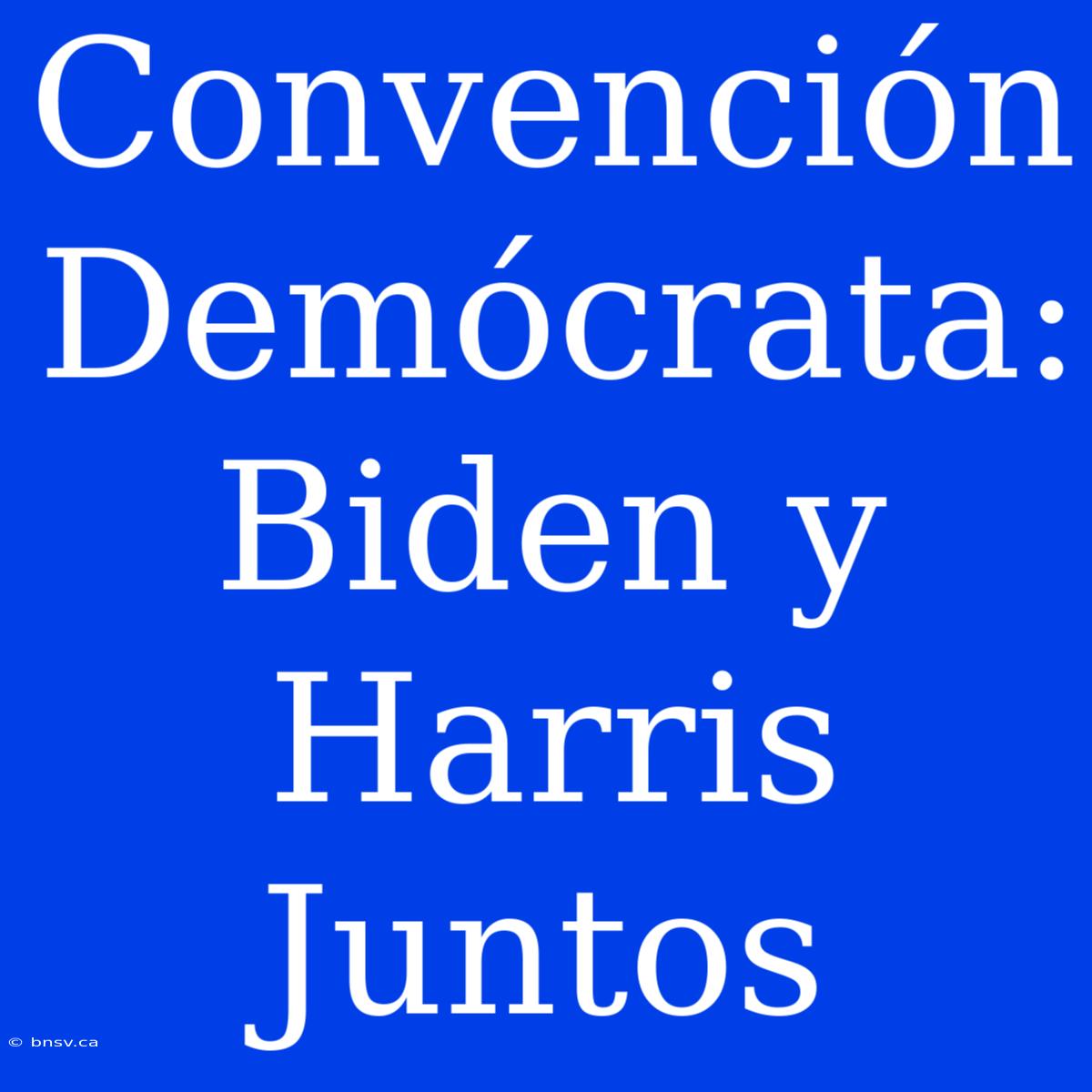 Convención Demócrata: Biden Y Harris Juntos