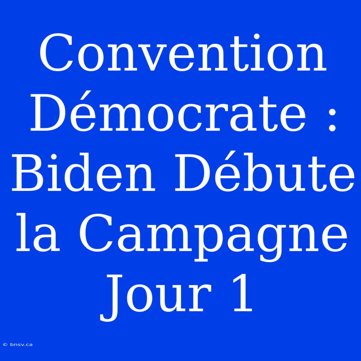 Convention Démocrate : Biden Débute La Campagne Jour 1