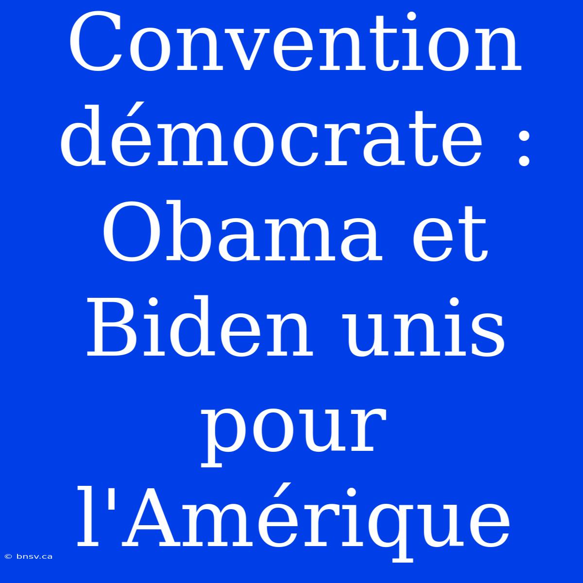 Convention Démocrate : Obama Et Biden Unis Pour L'Amérique