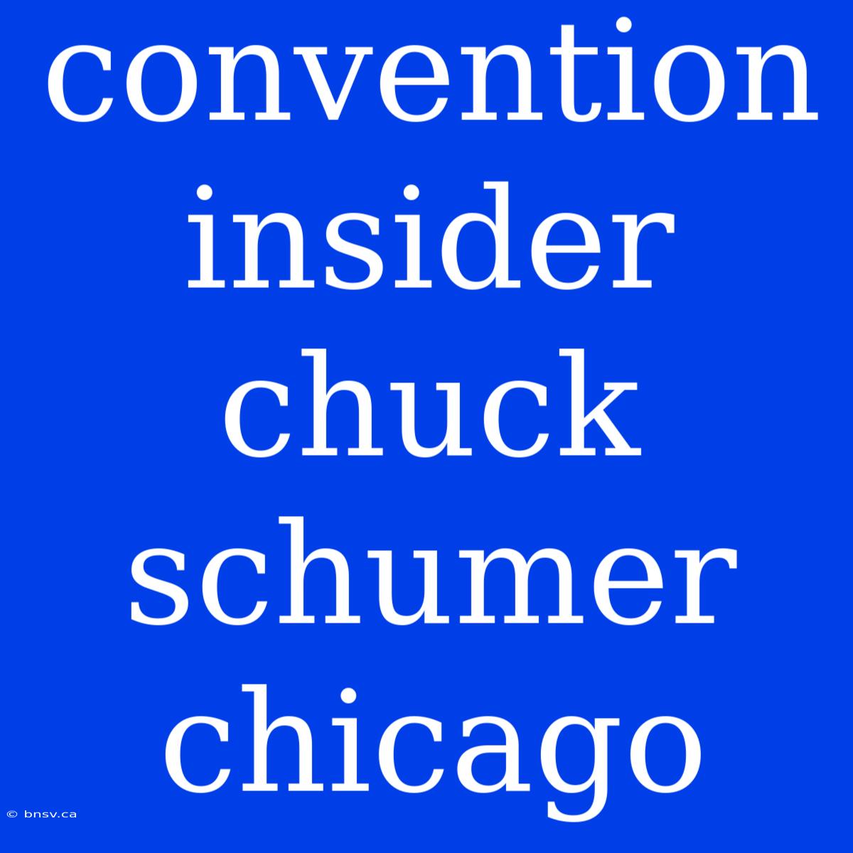 Convention Insider Chuck Schumer Chicago