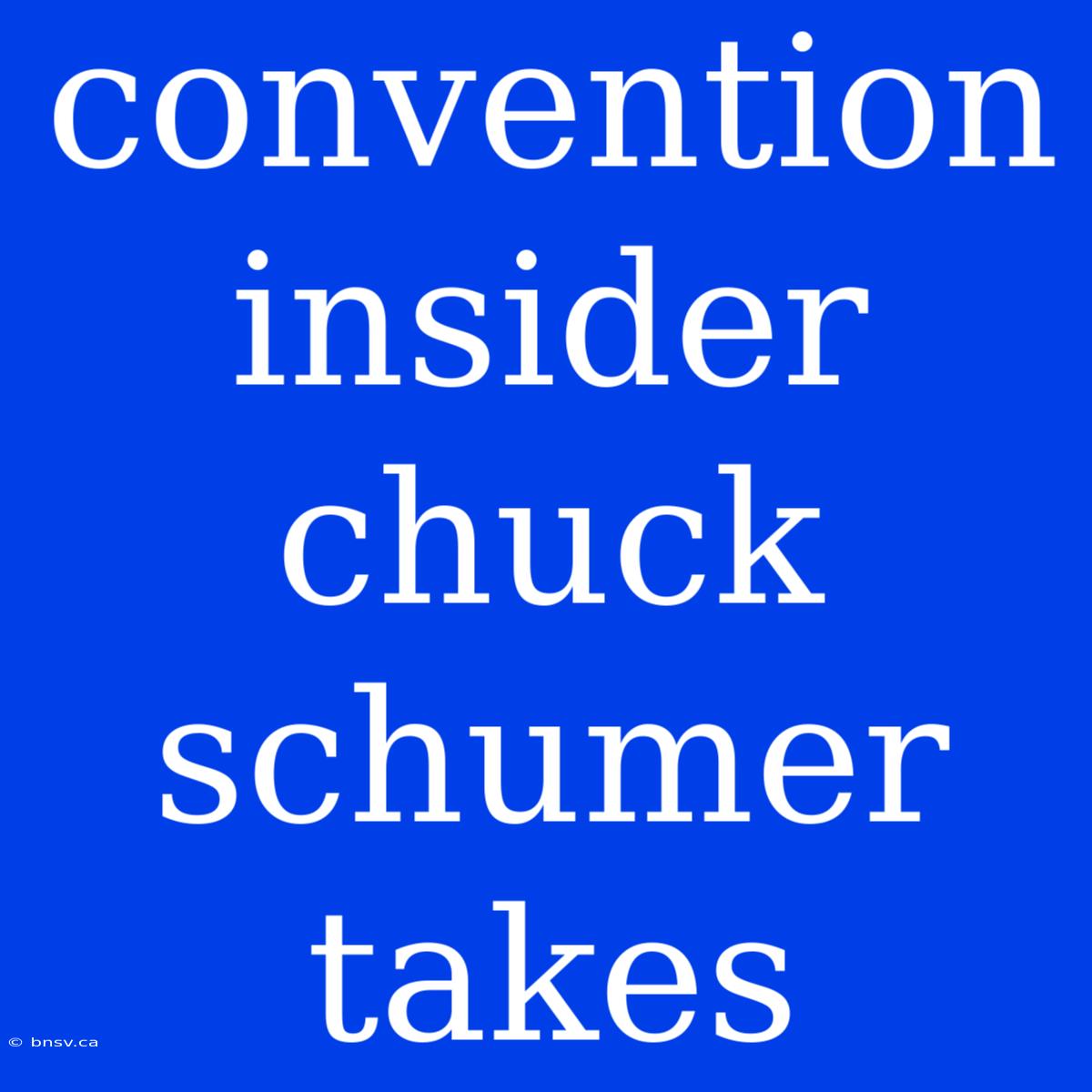 Convention Insider Chuck Schumer Takes