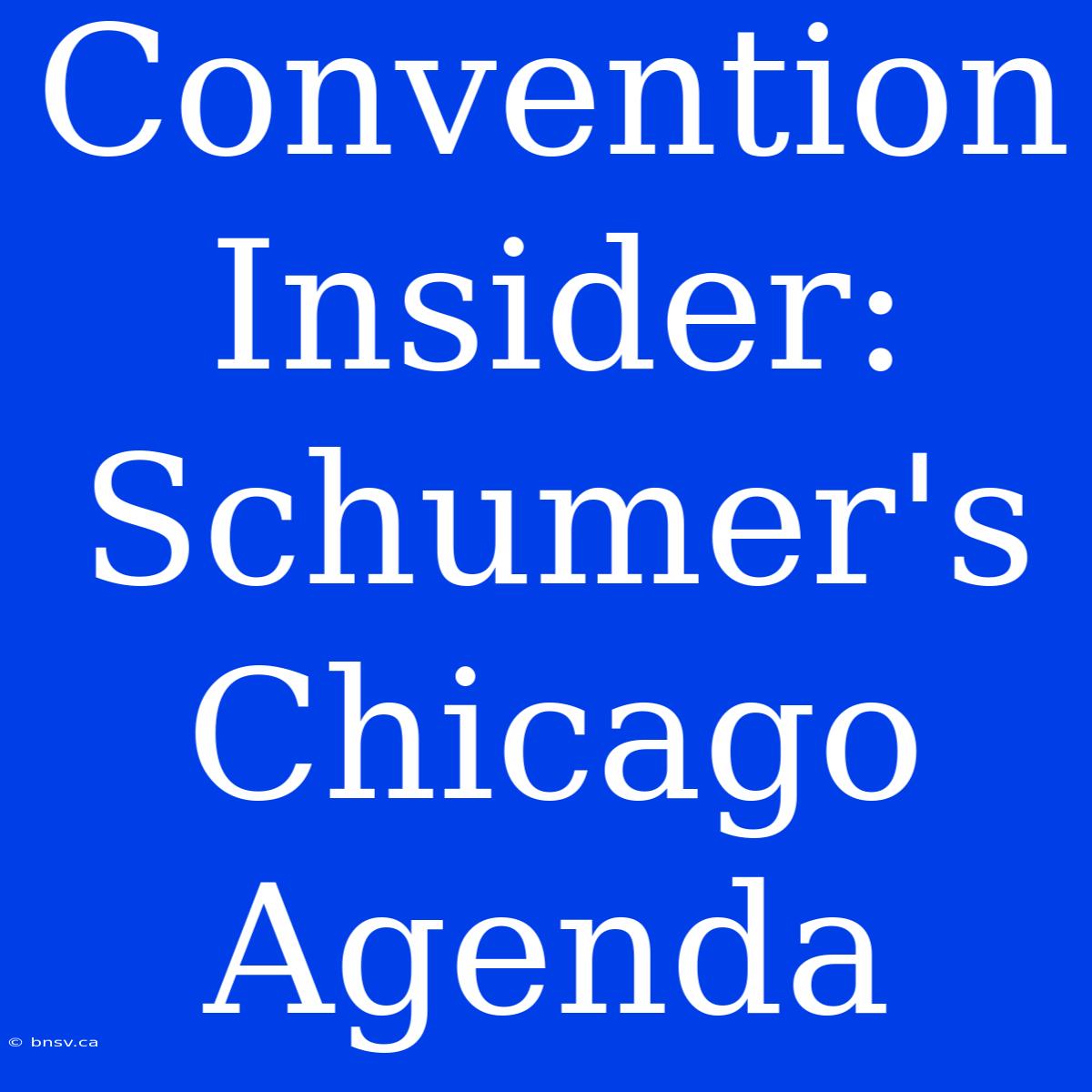 Convention Insider: Schumer's Chicago Agenda