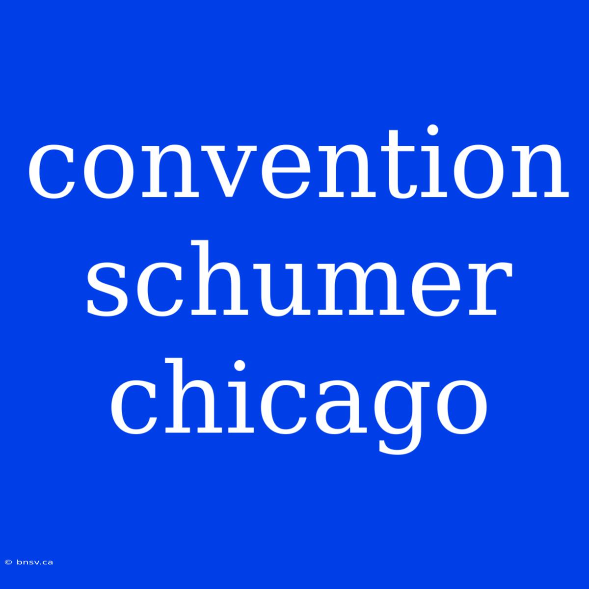 Convention Schumer Chicago