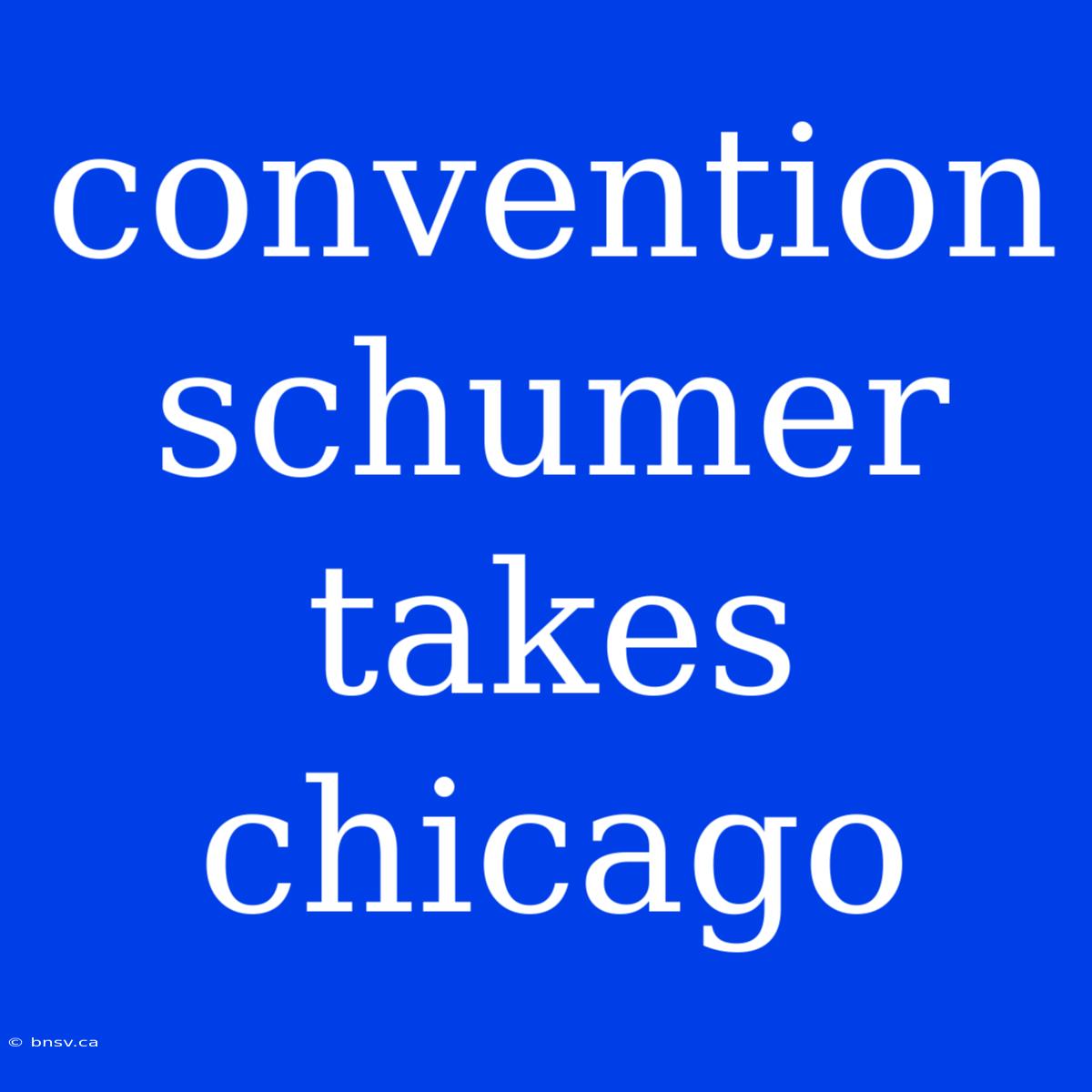 Convention Schumer Takes Chicago