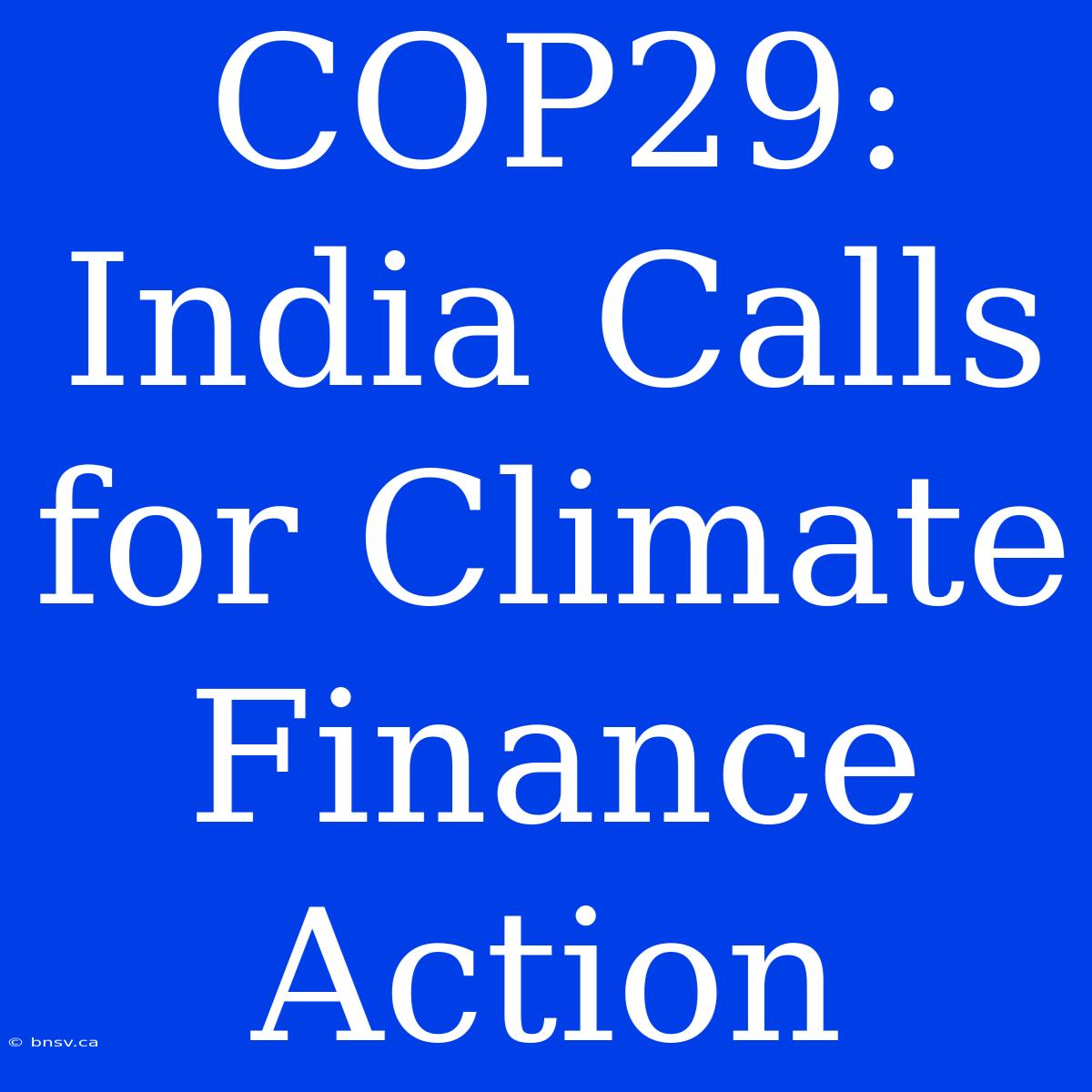 COP29: India Calls For Climate Finance Action