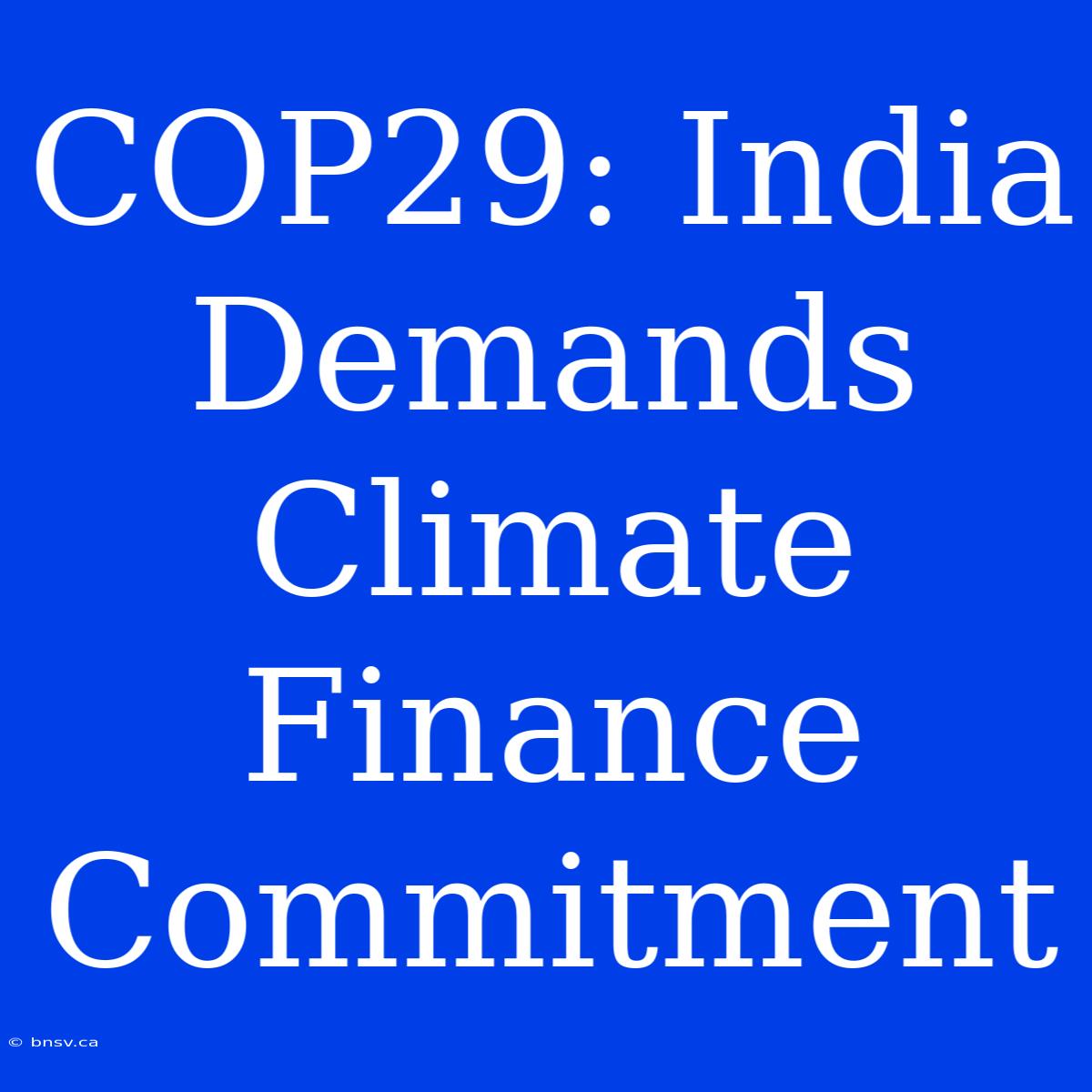 COP29: India Demands Climate Finance Commitment