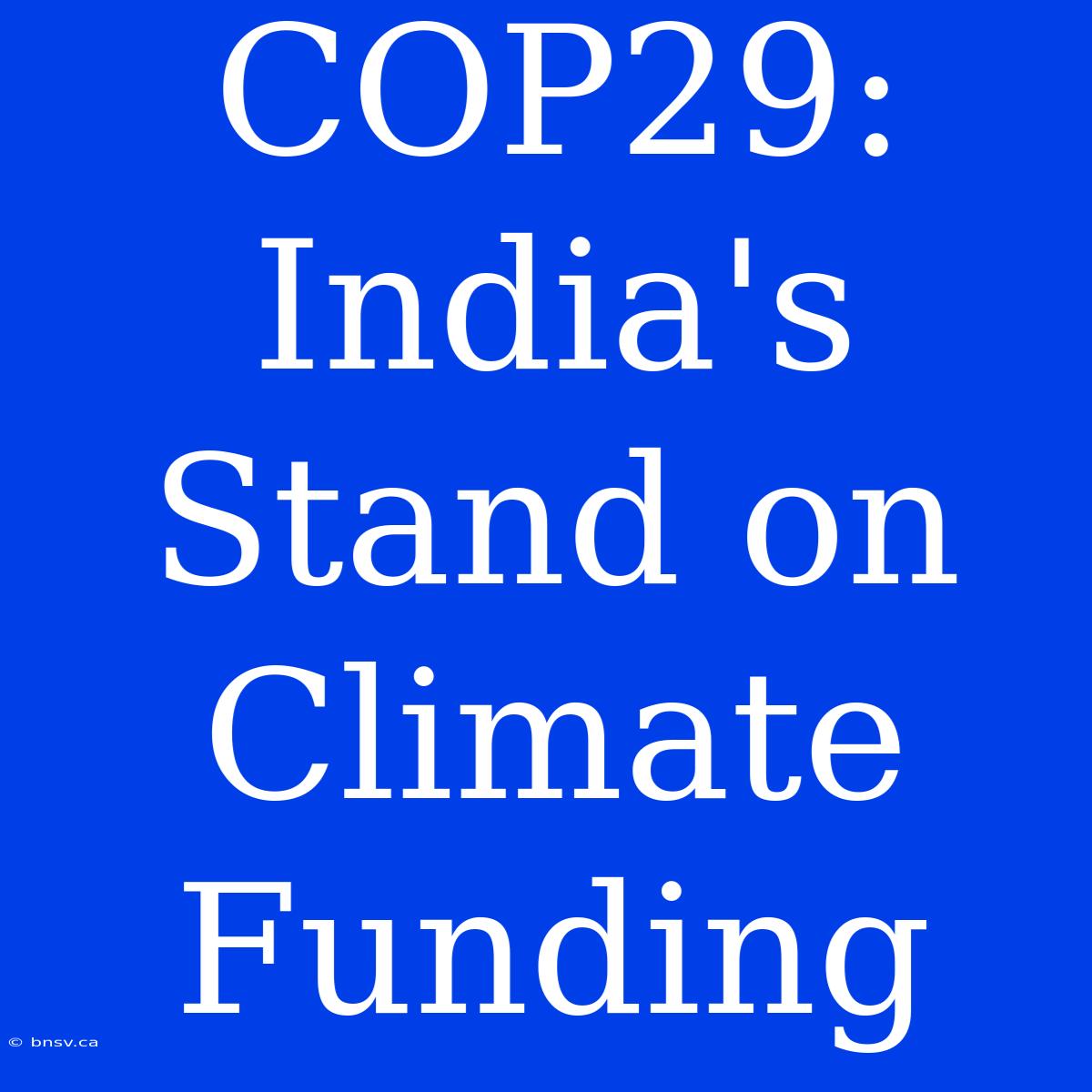 COP29: India's Stand On Climate Funding