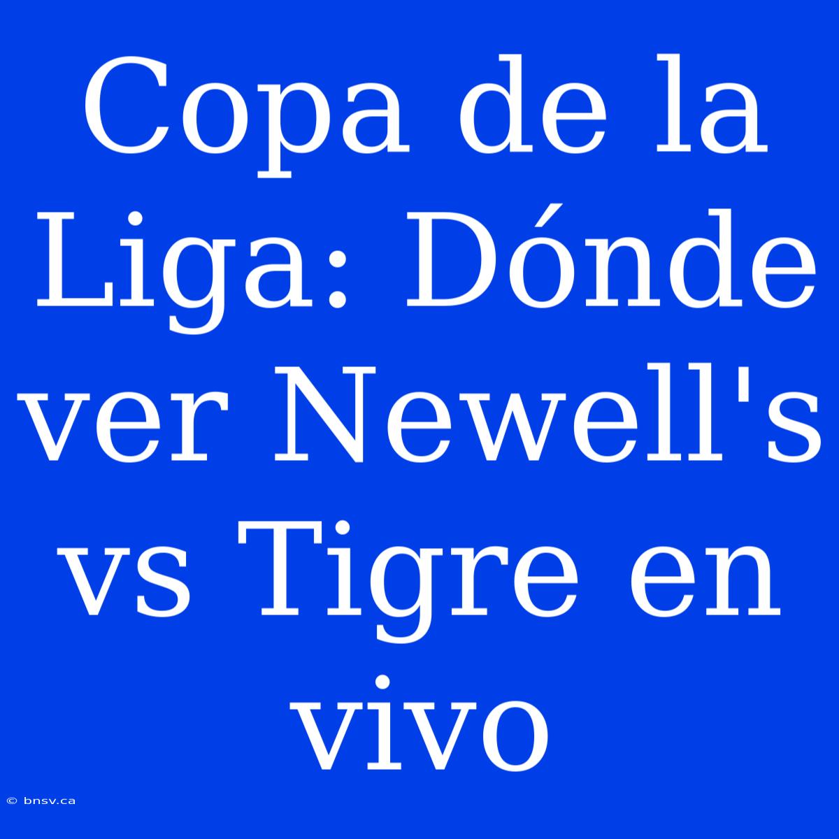 Copa De La Liga: Dónde Ver Newell's Vs Tigre En Vivo