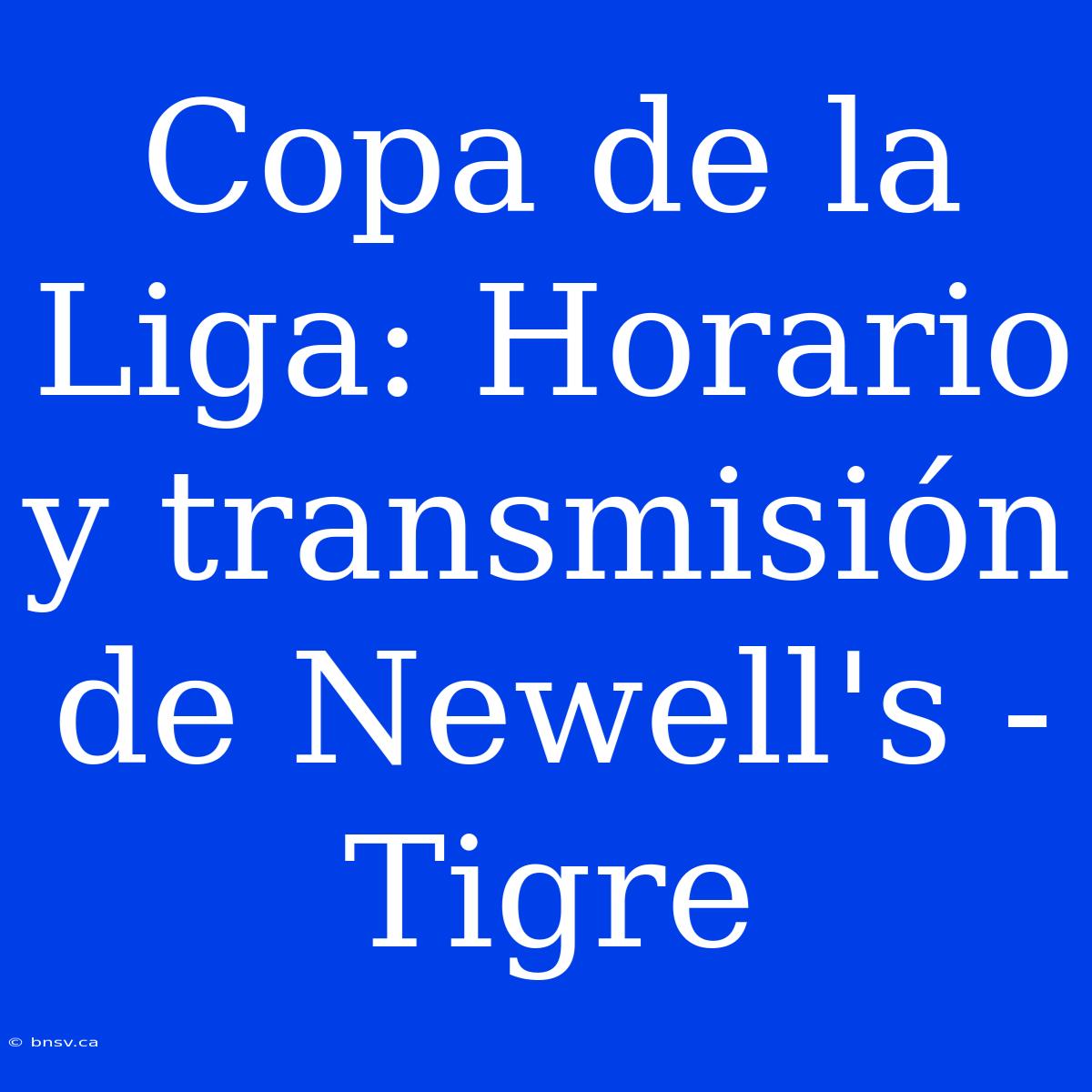 Copa De La Liga: Horario Y Transmisión De Newell's - Tigre