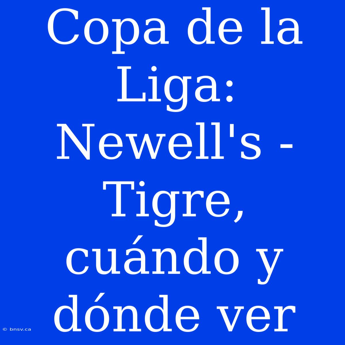 Copa De La Liga: Newell's - Tigre, Cuándo Y Dónde Ver