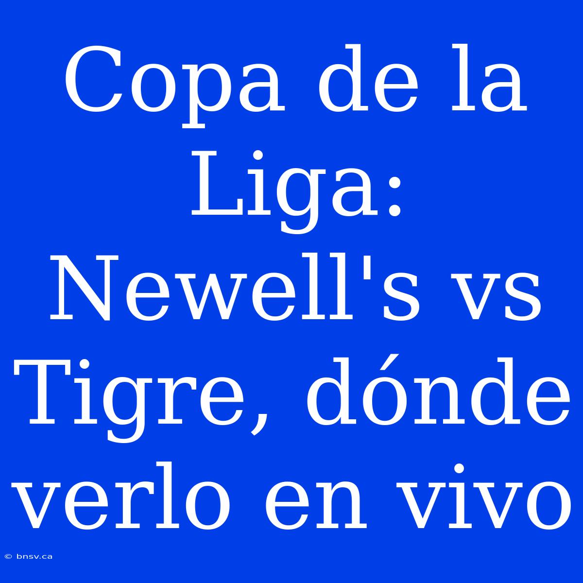 Copa De La Liga: Newell's Vs Tigre, Dónde Verlo En Vivo