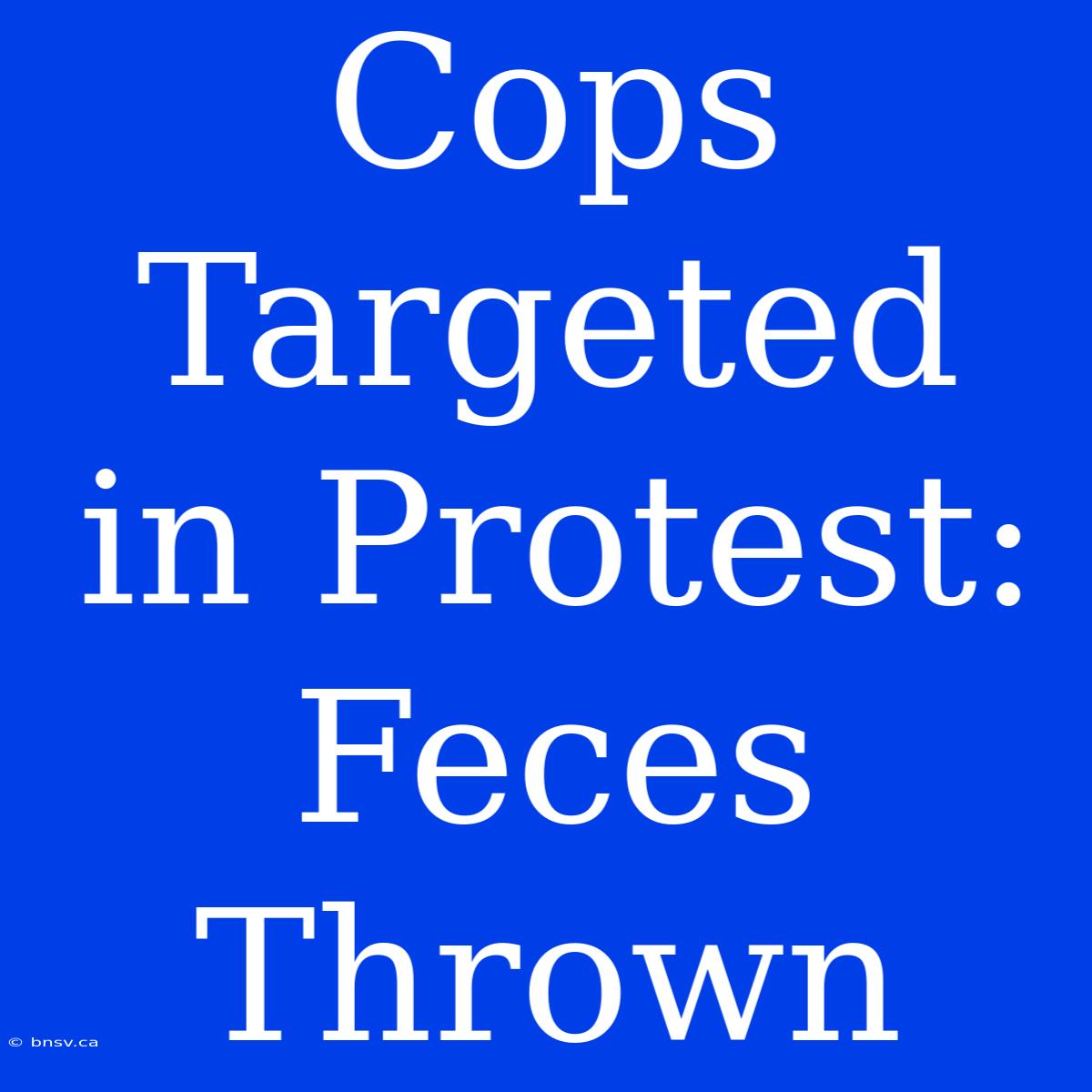 Cops Targeted In Protest: Feces Thrown