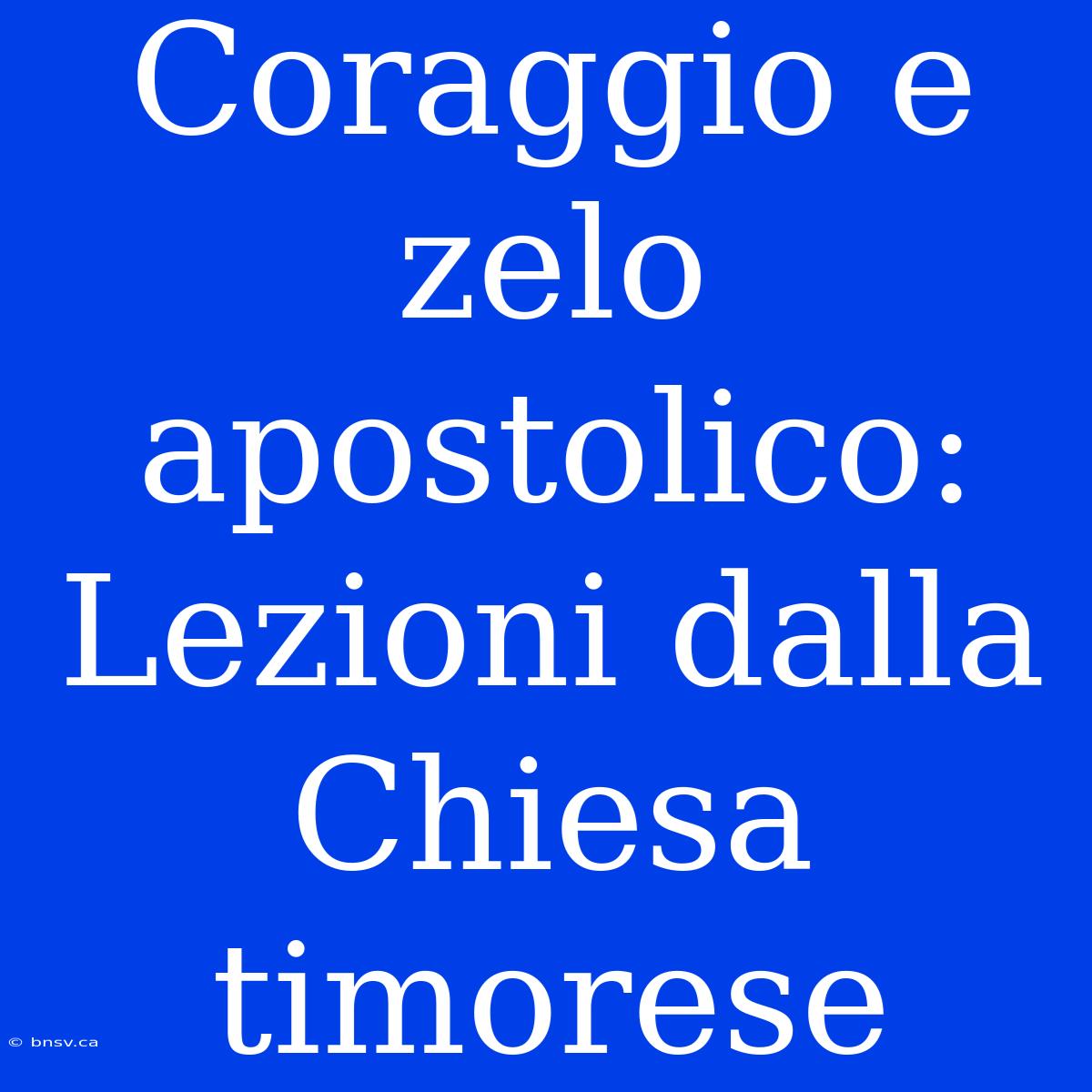 Coraggio E Zelo Apostolico: Lezioni Dalla Chiesa Timorese