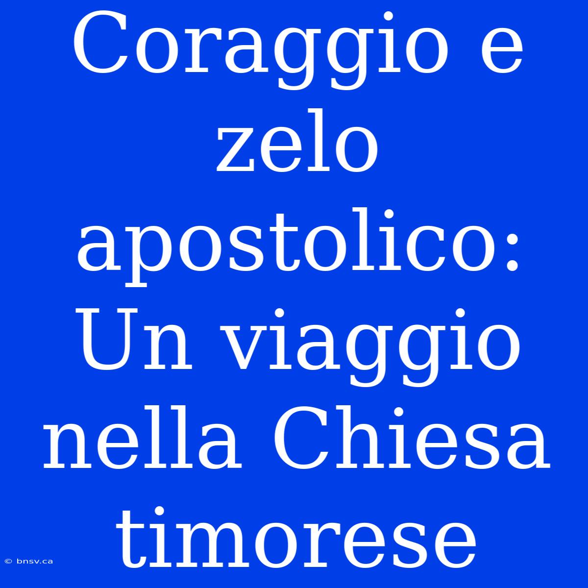 Coraggio E Zelo Apostolico: Un Viaggio Nella Chiesa Timorese