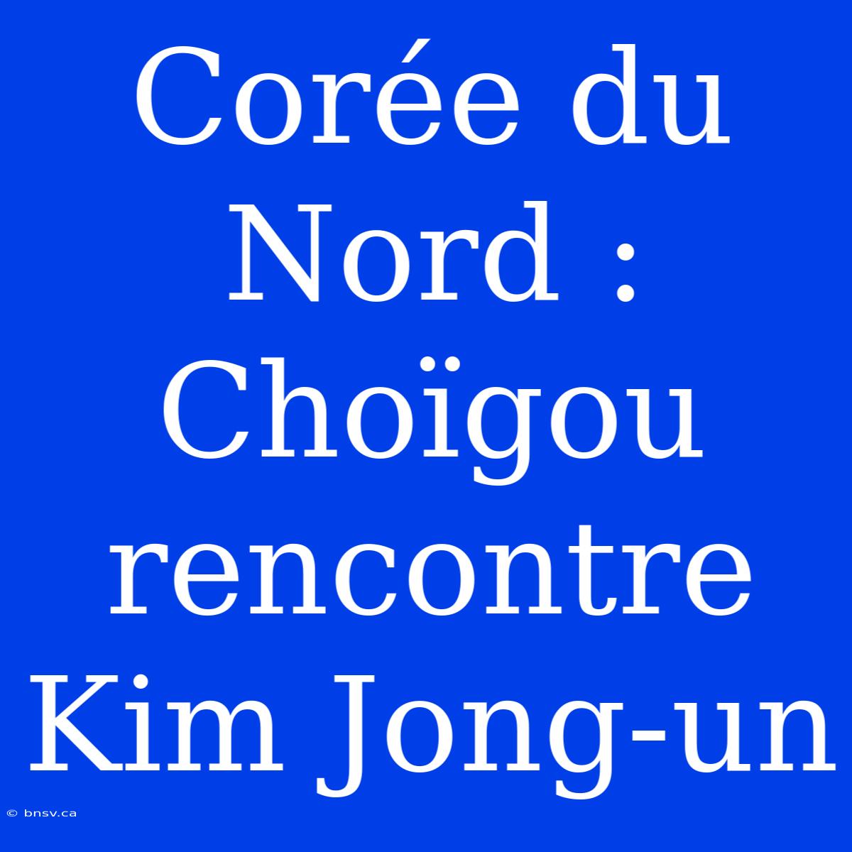 Corée Du Nord : Choïgou Rencontre Kim Jong-un