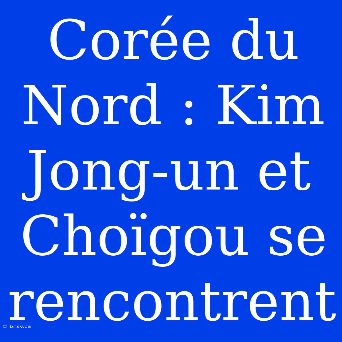 Corée Du Nord : Kim Jong-un Et Choïgou Se Rencontrent