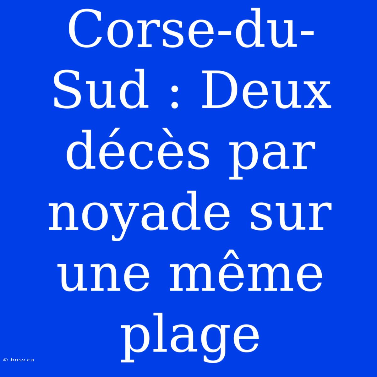 Corse-du-Sud : Deux Décès Par Noyade Sur Une Même Plage